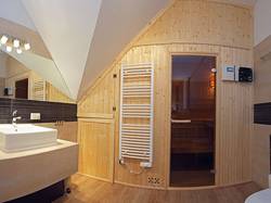 Apartament na Szczycie - łazienka z sauną